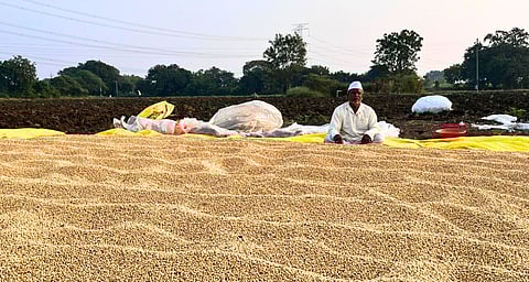A farmer sitting wearing white cap and kurta, soyabean grains spread on the ground