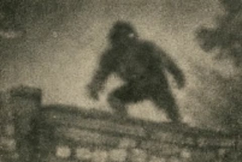 A blurry Ai generated image of the monkey man over rooftop. the image is dark and dim depicting night time.