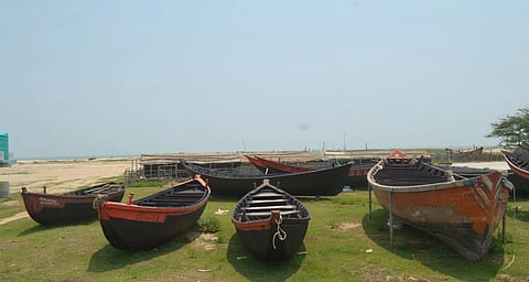 Fishing boats lined up on a mossy shore