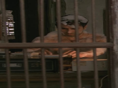 दम लगा के हईशा