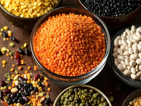 आयुर्वेद में दालों के स्वास्थ्य लाभ: मूंग, मसूर, उड़द, अरहर, चना, राजमा और सूखी मटर खाने के फायदे और परहेज