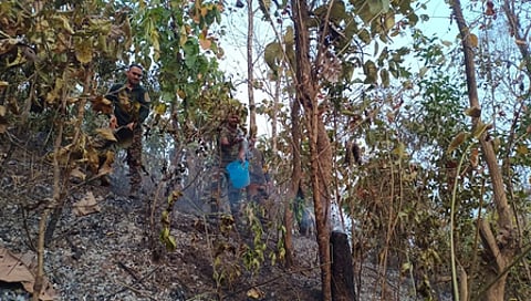 मणिपुर : भारत-म्यांमार चेक पोस्ट के पास जंगल में लगी आग, सैनिकों ने समय रहते पाया काबू