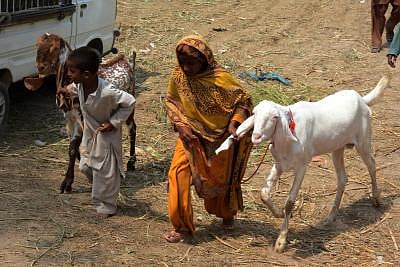 Systematic failure, entrenched patriarchy fuels gender-based violence in Pakistan (File image)