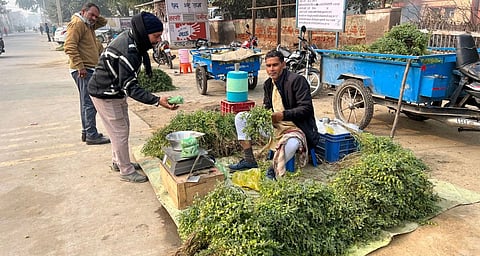 A vendor sitting surrounded by chickpea crops on a pavement while a customer attempts to buy something