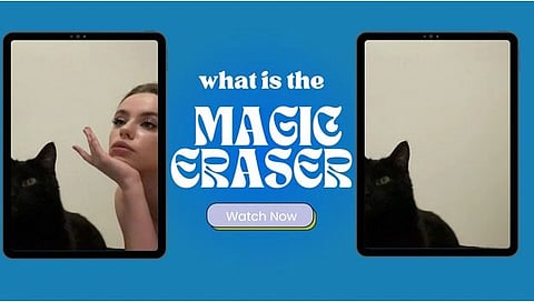 Graphic reading: "what is the MAGIC ERASER" with two photos on either side of a black cat and one has a woman