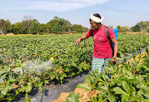 Govt boosts gas supply, urea output jumps 23 pc ahead of Kharif season