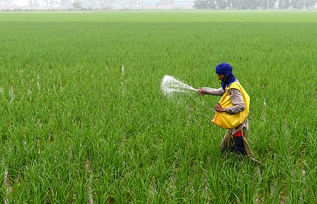 No plan to hike urea prices, clarifies Centre