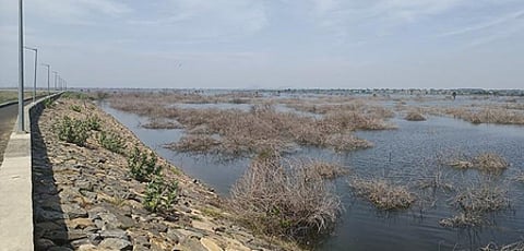 Delayed Marudaiyaru dam emerges as key election issue in TN