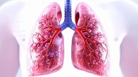 India launches world’s 1st clinical trial to test Ayurveda with TB treatment