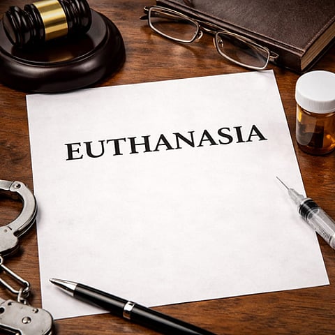 75 applications for euthanasia in Mumbai