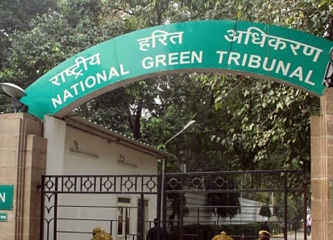 NGT issues notices over alleged destruction of 70,000 trees in Ghaziabad city forest