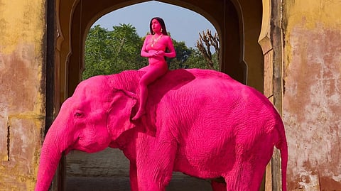The photo showcases a model astride a pink elephant, both painted with a bright pink color