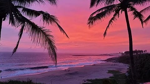 Sunset over a tropical beach, with vibrant pink and orange skies framed by silhouetted palm trees. Waves gently hit the shore, creating a tranquil scene.