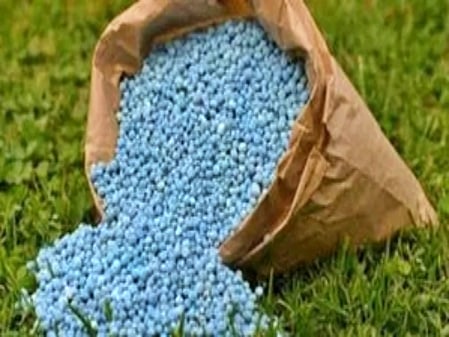 Nepal govt to procure 80,000 tonnes of fertiliser from India amid supply shock