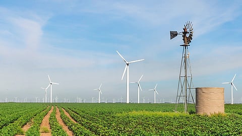 windmills in a field of crops