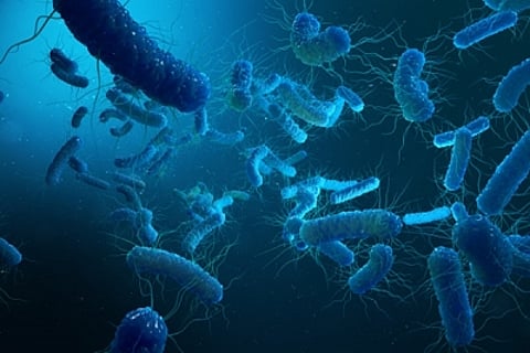 The image is showcasing the illustration of Shigella infections spreading in Kerala.