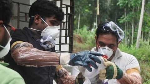 In the image three people are shown in a medical mask and glasses holding something