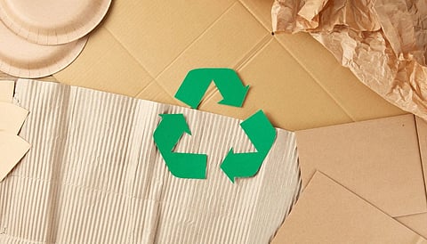 For many of these workers, recycling is more than an environmental practice: it’s a means of survival.