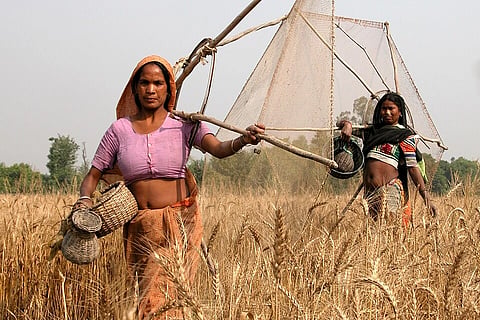 For women in the informal sector — including domestic workers, gig workers and construction workers — heatwaves bring both health risks and financial strain.
