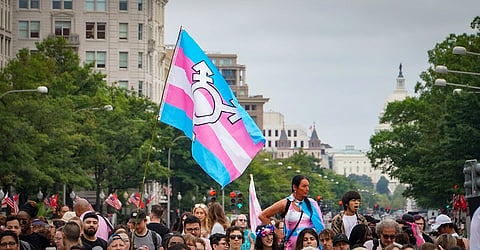 Pride march highlighting transgender rights amid growing anti-trans election campaigns worldwide