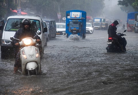 Rainwater mixed with contaminated mud may contain Leptospira bacteria (spirochaetes), which cause leptospirosis.