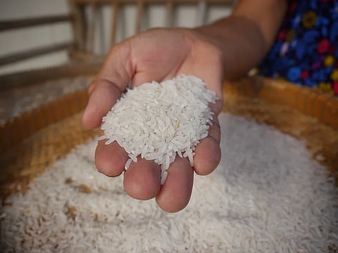 A hand holding rice in front