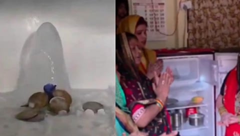 Left image is of an ice bulge with coins near it in a fridge. Right image is of the viral shivling in fridge and people with folded hands standing near it expressing their devotion