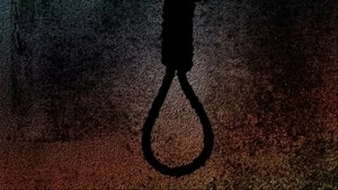 In the image a noose is shown