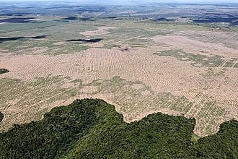 Deforestation in the Maranhão state of Brazil.