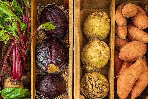 IAF ready to bring back Indians from Ukraine