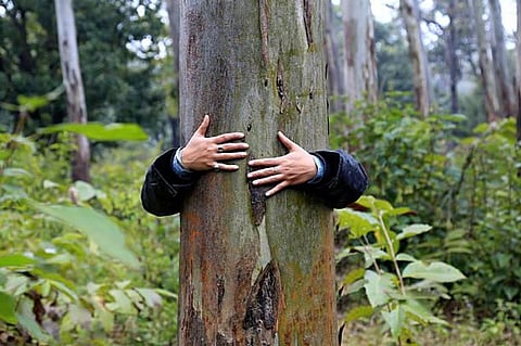 Media giants exploring India for growth