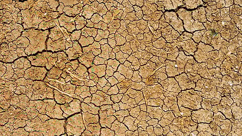 India's champion athletes who stole the show for the country at the Tokyo Games 2020 have come together on one platform once again. | Unsplash