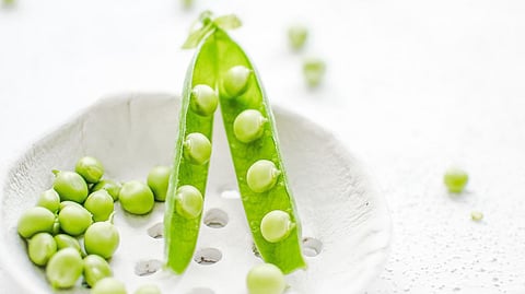 Using Aloe Vera-based products for children makes the skin smooth, calm and fresh. | Unsplash