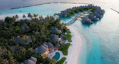 The Soft Matte Lipsticks have a luxurious matte finish.