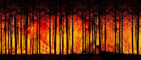 Ashtottaram 72
72) OṀ KṢHAMĀBHŨMYAI NAMAH: