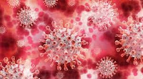 ‘Fantastic Beasts: The Secrets of Dumbledore’ trailer full of action, adventure, magic