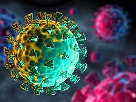 The California Department of Public Health said that 13 confirmed cases associated with the Omicron variant have been reported to the state so far.