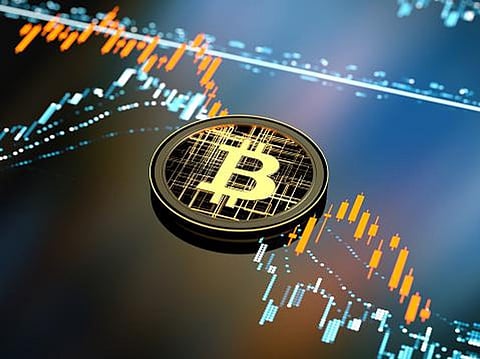 Keep Calm And Buy These Cryptos To Survive The Crash