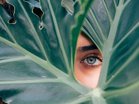 Big B Pens Touching Note On His Father’s 114th Birth Anniversary