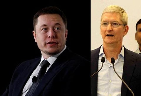 Musk Trolls Cook Over Apple’s $19 Cleaning Cloth