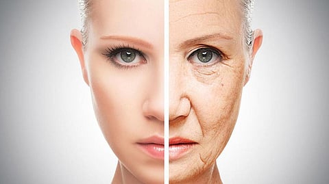 Federer received thunderous ovations inside Boston's TD Garden, where he has often been sitting in the front row watching the action or behind the scenes visiting with the players. | Wikimedia Commons