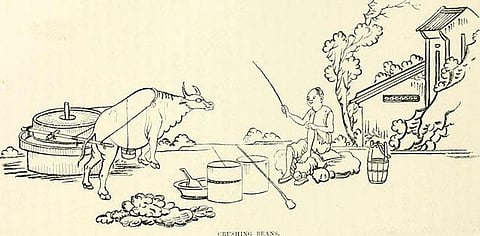 Subsequent serological surveys found nearly 3 per cent positivity rates to SARS-CoV related (SARS-CoV) viruses in residents of Yunnan province living close to bat caves, demonstrating regular exposure in rural locations. Photo by Todd Cravens on Unsplash