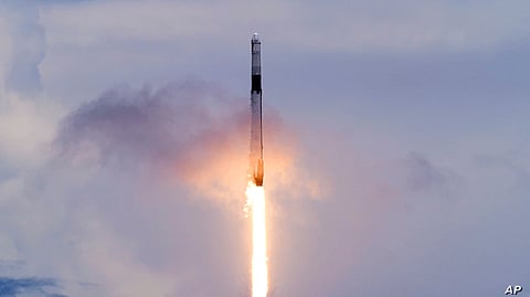 Spacex Launches Ants, Avocados, Robot To Space Station