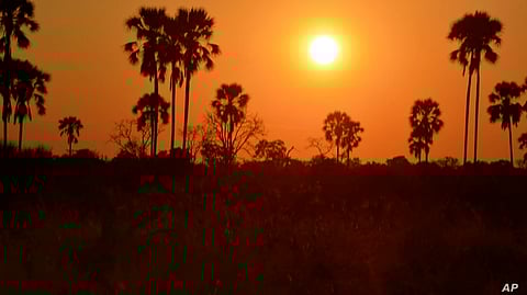 A file photo showing a kingfisher in Okavango Delta Image source: voa