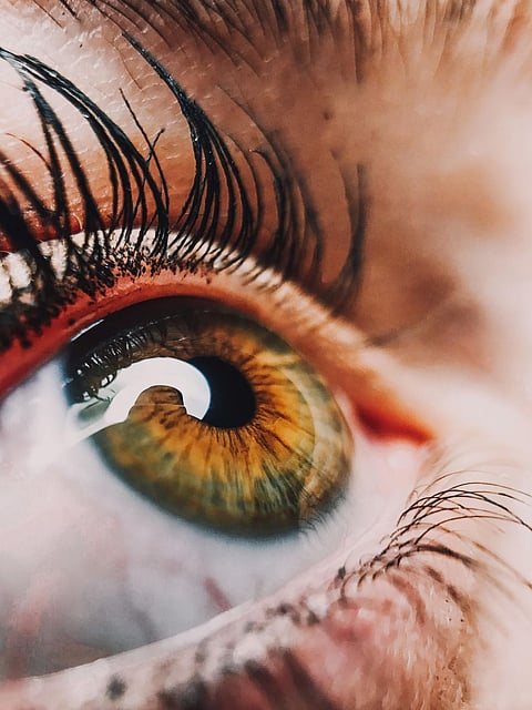 Dr. Agarwal's Eye Hospital, one of India's largest networks of eyecare centers, has launched Dr. Agarwal's Eye Connect, a free online consultation platform, making its specialists available for advice on eye conditions. Photo by Wouter on Unsplash