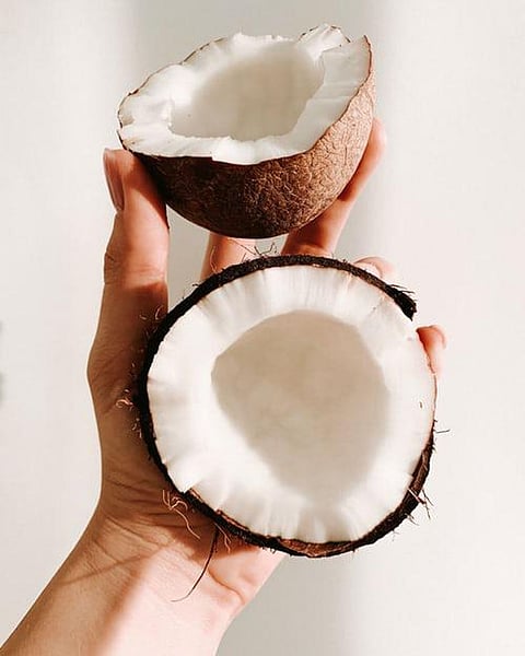 Extracts of coconut: coconut powder, flesh, and milk