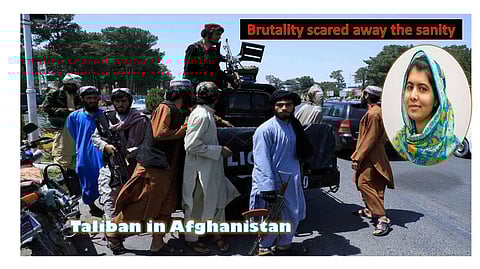 Who Emboldened The Taliban?