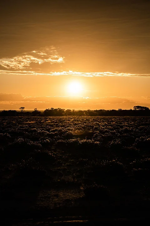 July 2021 Was The Hottest Month Recorded On Earth: NOAA