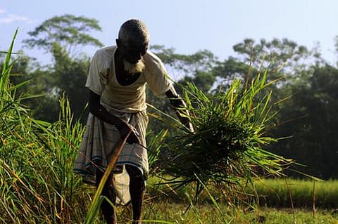 The pandemic was a blow to the economy in 2020. As businesses closed, farm workers kept to their toil