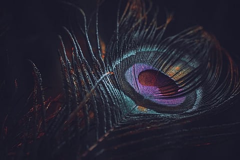 The anecdotes and narratives of Lord Krishna's life are generally titled as Krishna Leela.